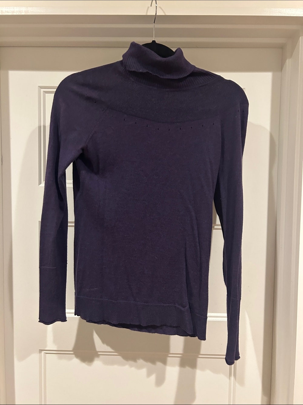 Banana Republic Deep Purple Turtleneck Sweater